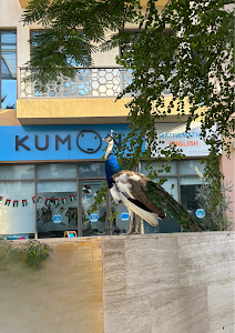 Kumon Maths & English / The Sustainable City Centre place picture