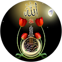 imran khan profile picture